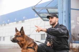 security guards for hire