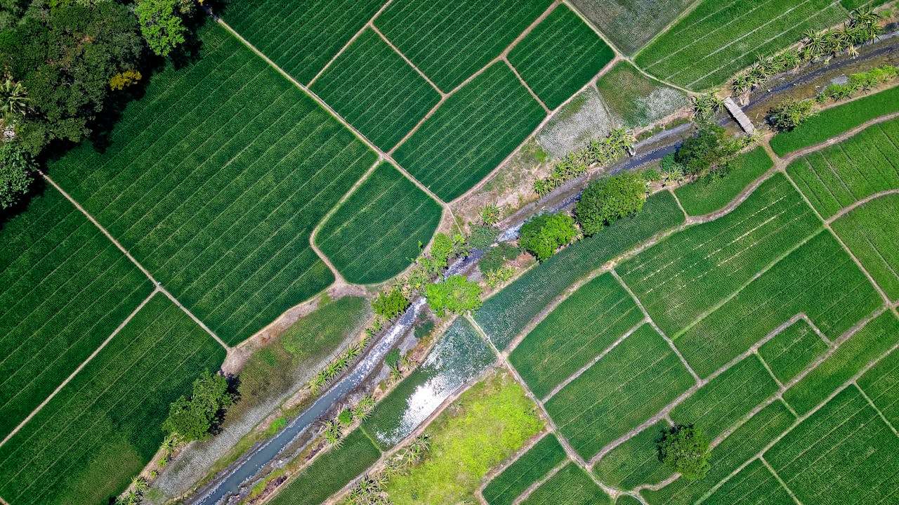 farmland security