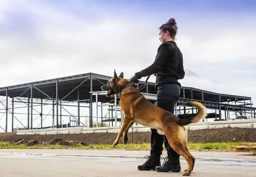 security guard service with dog