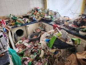 Clearway extreme cleaning services